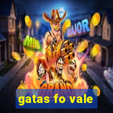 gatas fo vale